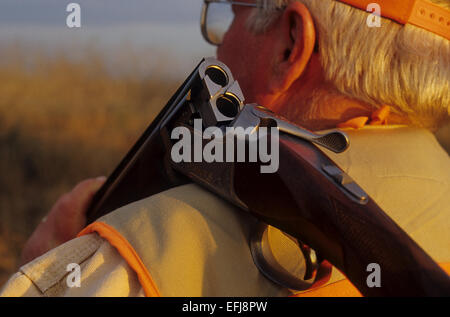 Un cacciatore con una al di sopra e al di sotto di un fucile mentre caccia quaglia sul re Ranch in Texas del Sud Foto Stock