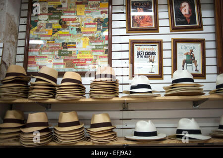 Victor's Panama Shop. Capanna shop. Un cappello di Panama è un tradizionale colmato cappello di paglia che è effettivamente realizzati in Ecuador, non Panama. Foto Stock