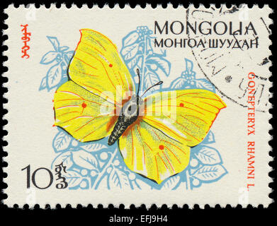 MONGOLIA - circa 1963: un timbro stampato in Mongolia mostra butterfly con la scritta 'Gonepteryx Rhamni' dalla serie Foto Stock