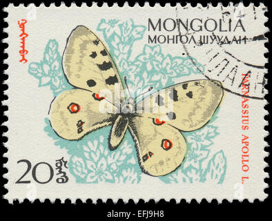 MONGOLIA - circa 1963: un timbro stampato in Mongolia mostra butterfly con la scritta 'Parnassius apollo' dalla serie 'ma Foto Stock