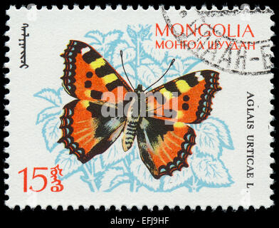 MONGOLIA - circa 1963: un timbro stampato in Mongolia mostra butterfly con la scritta 'Aglais Urticae' dalla serie "Burro Foto Stock