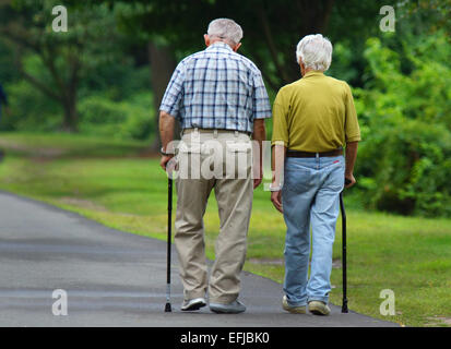 Due anziani signori passeggiate nel parco con le canne fotografato dal retro Foto Stock