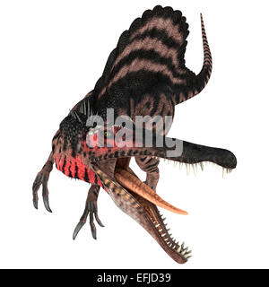 3D render digitale di un aggressivo Cretaceo dinosauro Spinosaurus o lucertola spinosa isolati su sfondo bianco Foto Stock