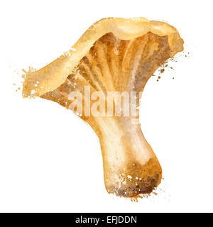 Vettore di funghi logo design modello. natura o icona di cibo. Foto Stock