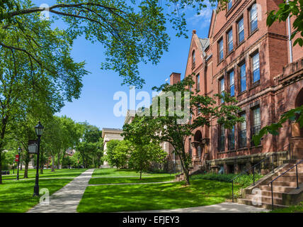 Tranquilla e verde presso la Brown University di Providence, Rhode Island, STATI UNITI D'AMERICA Foto Stock