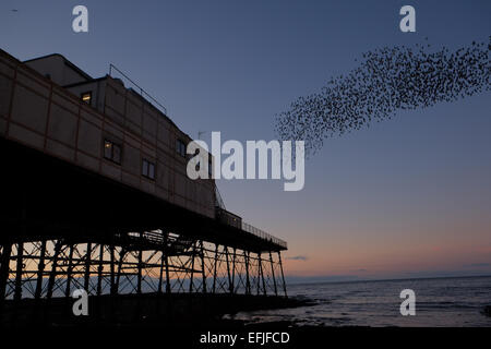 Aberystwyth, Wales, Regno Unito. 5 febbraio, 2015. Regno Unito: Meteo storni a Aberystwyth Pier al tramonto.Ceredigion,West Wales,il Galles Centrale. Foto Stock