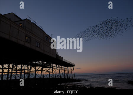 Aberystwyth, Wales, Regno Unito. 5 febbraio, 2015. Regno Unito: Meteo storni a Aberystwyth Pier al tramonto.Ceredigion,West Wales,il Galles Centrale. Credito: Paolo Quayle/Alamy Live News Foto Stock