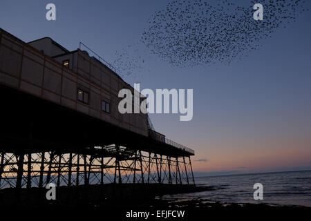 Aberystwyth, Wales, Regno Unito. 5 febbraio, 2015. Regno Unito: Meteo storni a Aberystwyth Pier al tramonto.,Ceredigion,West Wales,il Galles Centrale, Foto Stock