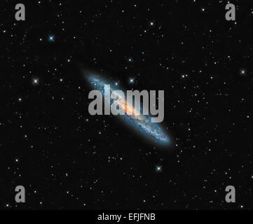 NGC 253, lo scultore Galaxy. Foto Stock