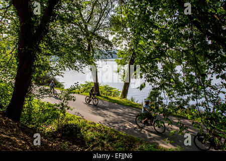 "Lago Baldeneysee' lago di Essen, fiume Ruhr, percorso intorno al lago per escursionisti, ciclisti, skater, Germania Foto Stock