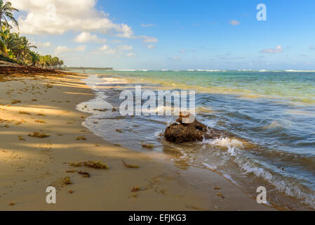 Tramonto sulla spiaggia Caraibica Foto Stock