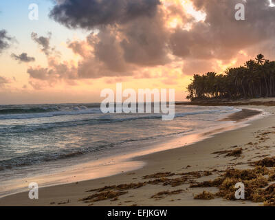 Tramonto sulla spiaggia Caraibica Foto Stock