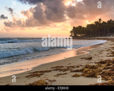 Tramonto sulla spiaggia Caraibica Foto Stock