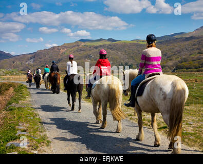 Gruppo di pony trekking a cavallo sul percorso su Mawddach Estuary vicino a Caernarfon in Snowdonia Gwynedd North Wales UK Foto Stock