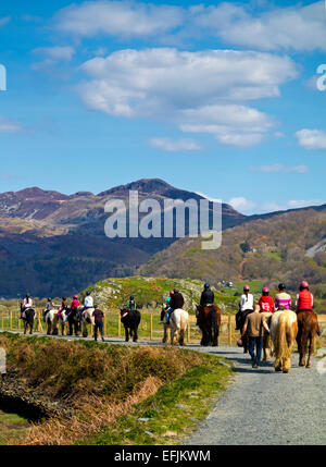 Gruppo di pony trekking a cavallo sul percorso su Mawddach Estuary vicino a Caernarfon in Snowdonia Gwynedd North Wales UK Foto Stock