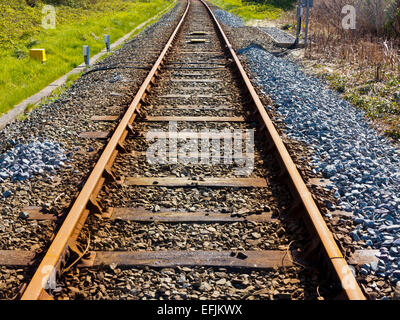 Svuotare i binari ferroviari confluenti nella distanza con traverse in legno e pietre tra le rotaie Foto Stock