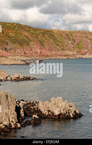 Vista da Stackpole Quay, Pembrokeshire, il Galles che mostra strati di roccia sul promontorio opposti Foto Stock