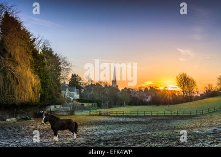 Tetbury, Gloucestershire, UK. 06 feb 2015. Regno Unito meteo. Dopo un altra notte di febbraio al di sotto delle temperature di congelamento, un Cob cavallo sta pazientemente in un campo congelata, in attesa che i primi raggi del sole sopra Tetbury nel Gloucestershire. Credito: Terry Mathews/Alamy Live News Foto Stock