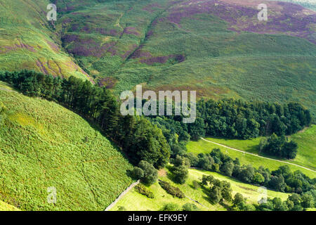 Vista di alberi, colline e campagna dal di sopra, Grindsbrook Clough, Derbyshire, Peak District, England, Regno Unito Foto Stock