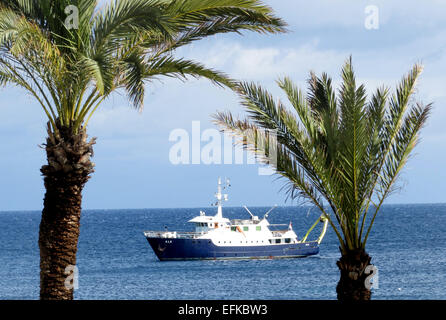 Località di villeggiatura di Bugibba, Qawra e St Pauls Bay di Malta. Vista lungomare di Qawra il 31 gennaio 2015 Foto di Keith Mayhew Foto Stock