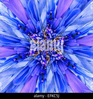 Fiore blu centro simmetrico collage fatto di raccolta di vari fiori selvatici. Pezzi sono Seamlesly diviso in Symmetric piec Foto Stock