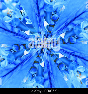 Fiore blu centro simmetrico collage fatto di raccolta di vari fiori selvatici. Pezzi sono Seamlesly diviso in Symmetric piec Foto Stock