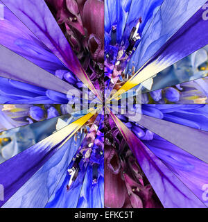 Fiore blu centro simmetrico collage fatto di raccolta di vari fiori selvatici. Pezzi sono Seamlesly diviso in Symmetric piec Foto Stock