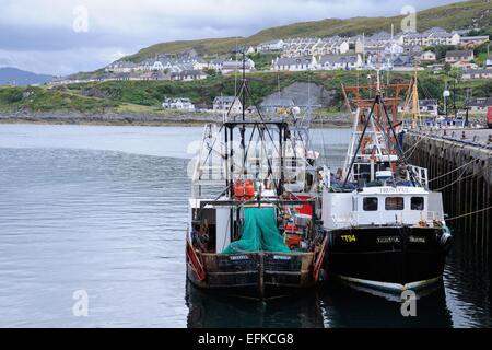 Barche da pesca in Mallaig porto cittadino, Lochaber, Highland, Scotland, Regno Unito Foto Stock