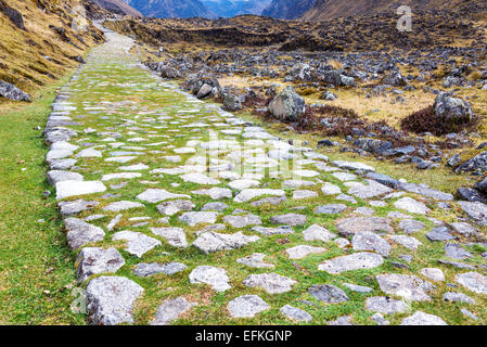 Antica lastricata strada Inca sulla El Choro trek nelle Ande montagne vicino a La Paz in Bolivia Foto Stock