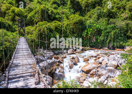 Piccolo ponte di sospensione nella giungla vicino a Coroico, Bolivia Foto Stock