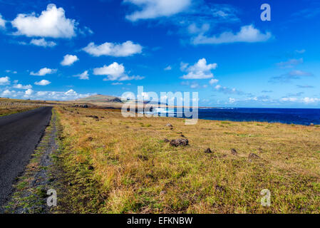 Il paesaggio costiero dell'Isola di Pasqua Foto Stock
