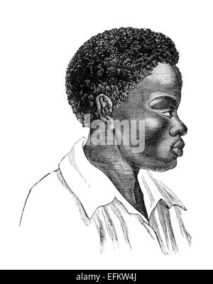 Restaurata digitalmente immagine da una metà del XIX secolo enciclopedia. Foto Stock