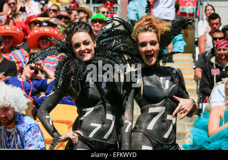 Wellington, Nuova Zelanda. 06 feb 2015. Ventilatori in costume. Giorno uno della HSBC Sevens, Westpac Stadium di Wellington, Nuova Zelanda. Sabato 06 febbraio 2015. Credito: Azione Sport Plus/Alamy Live News Foto Stock