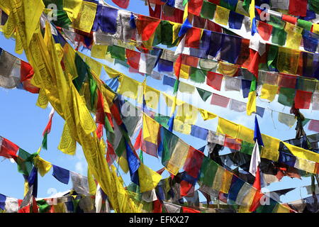 La preghiera buddista bandiere sventolano al vento sui tetti sulla parte superiore del VV.Khenchen Thrangu Rinpoche fondata TT.Yangtse Foto Stock