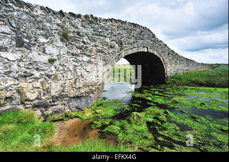 Aberffraw ponte costruito 1731 / Aberffraw / Anglesey / Regno Unito Foto Stock