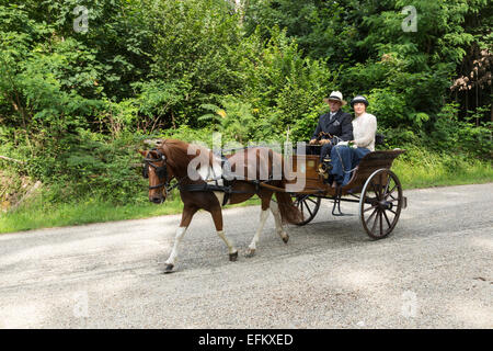 Iternational concorso per carrelli tradizionali "La Venaria Reale", carrello:Dos Dos ,Cavallo: singolo Olandese, Italia Foto Stock