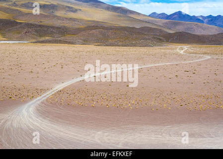 Tracce di pneumatici nelle pianure alto Deserto vicino a Uyuni, Bolivia Foto Stock