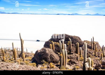 Vista del sale di Uyuni piatto come visto da Incahuasi Isola con SUV e passando da Foto Stock