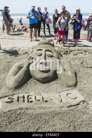 Christchurch, Nuova Zelanda. 7 febbraio, 2015. Serpenti di mare, sirene e castelli gigante germogliato dalla spiaggia di New Brighton alla quarta Nuova Zelanda castello di sabbia la concorrenza. Dilettanti e professionisti carving sabbia/scolpire i team e i singoli in concorrenza per i trofei e premi per la creazione di sculture di sabbia raffiguranti un tema di ''castelli della vostra mente, '' ''creatures del mare'' o ''Kiwiana. Credito: PJ Heller/ZUMA filo/Alamy Live News Foto Stock