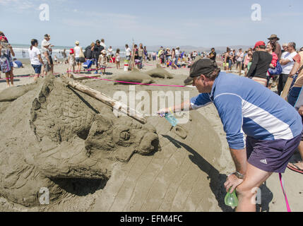 Christchurch, Nuova Zelanda. 7 febbraio, 2015. Serpenti di mare, sirene e castelli gigante germogliato dalla spiaggia di New Brighton alla quarta Nuova Zelanda castello di sabbia la concorrenza. Dilettanti e professionisti carving sabbia/scolpire i team e i singoli in concorrenza per i trofei e premi per la creazione di sculture di sabbia raffiguranti un tema di ''castelli della vostra mente, '' ''creatures del mare'' o ''Kiwiana. Credito: PJ Heller/ZUMA filo/Alamy Live News Foto Stock