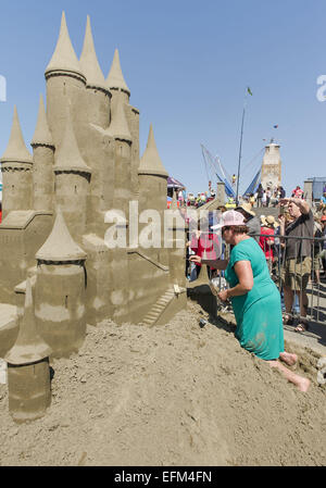 Christchurch, Nuova Zelanda. 7 febbraio, 2015. Serpenti di mare, sirene e castelli gigante germogliato dalla spiaggia di New Brighton alla quarta Nuova Zelanda castello di sabbia la concorrenza. Dilettanti e professionisti carving sabbia/scolpire i team e i singoli in concorrenza per i trofei e premi per la creazione di sculture di sabbia raffiguranti un tema di ''castelli della vostra mente, '' ''creatures del mare'' o ''Kiwiana. Credito: PJ Heller/ZUMA filo/Alamy Live News Foto Stock