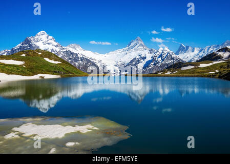 Wetterhorn, Schreckhorn e Finsteraarhorn picchi si riflette nelle acque del lago Bachalpsee, Alpi Svizzere. Foto Stock