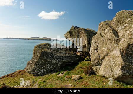 St Davids Testa, Pembrokeshire, Wales include spiagge, scogliere, età del ferro rimane, sostenendoli passeggiate e gite e hardy fauna selvatica. Foto Stock