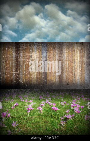 Abstract distressed sfondo giardino con prato verde pieno di crocusses Foto Stock