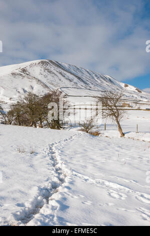 Orme nella neve in valle Edale, Peak District, Derbyshire. Che conduce fino a Horsehill Tor. Foto Stock