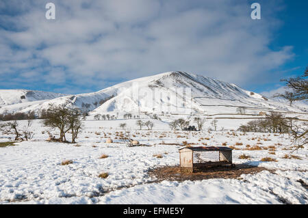 Alimentatore di pecora e pecora in una zona rurale paesaggio invernale nella valle di Edale, Peak District, Derbyshire. Foto Stock