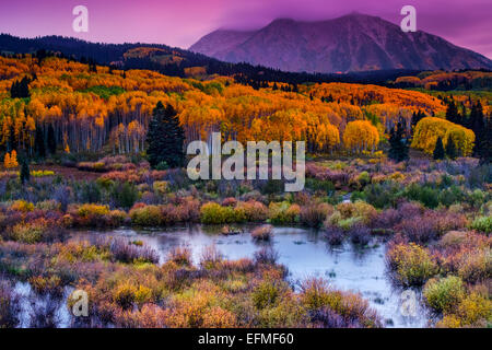 East Beckwith Montagna è avvolta in nuvole lungo Kebler passare durante il Sunrise come la foresta di Aspen mostra la sua bella candelette Foto Stock