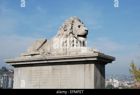 Lion custodendo il ponte delle catene di Szechenyi sul Danubio a Budapest Ungheria Foto Stock
