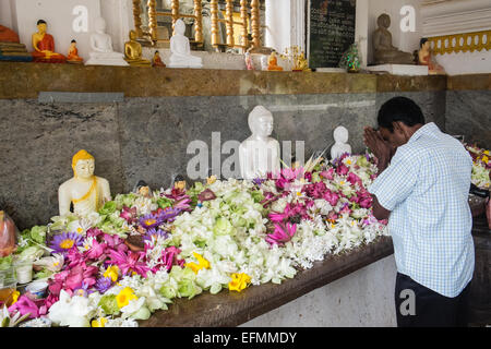 Devoto culto con lotus foglie e fiori offerte presso la sacra bo,bodhi,tree,tempio buddista,Anuradhapura,Sri Lanka,l'Asia. Foto Stock