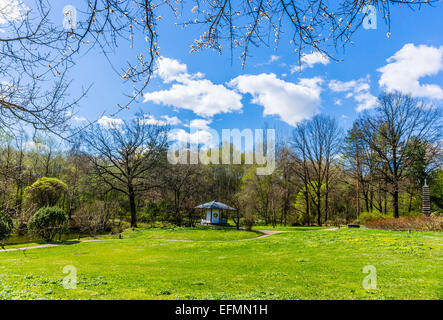 Giardino giapponese in primavera e fioritura sakura tree Foto Stock